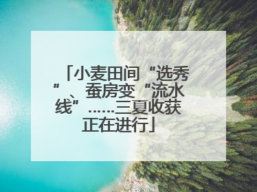 小麦田间“选秀”、蚕房变“流水线”……三夏收获正在进行