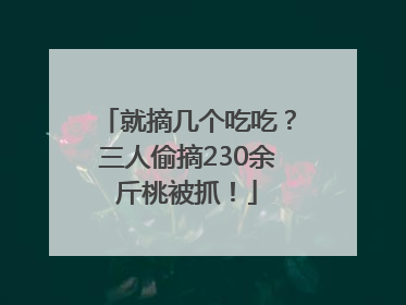 就摘几个吃吃？三人偷摘230余斤桃被抓！