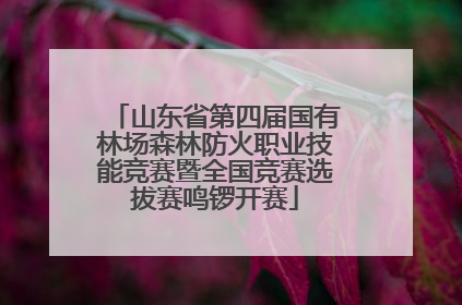 山东省第四届国有林场森林防火职业技能竞赛暨全国竞赛选拔赛鸣锣开赛
