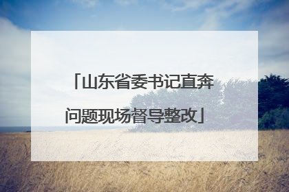 山东省委书记直奔问题现场督导整改