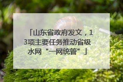 山东省政府发文，13项主要任务推动省级水网“一网统管”