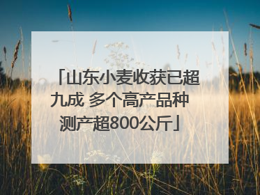山东小麦收获已超九成 多个高产品种测产超800公斤
