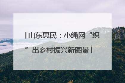 山东惠民：小绳网“织”出乡村振兴新图景