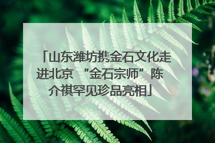 山东潍坊携金石文化走进北京 “金石宗师”陈介祺罕见珍品亮相