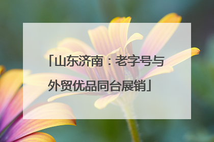 山东济南：老字号与外贸优品同台展销