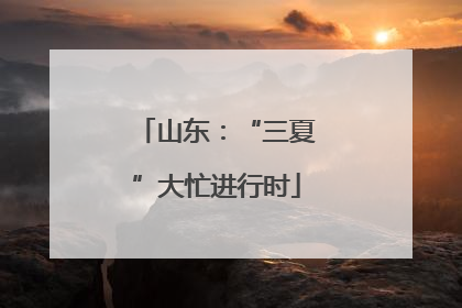 山东：“三夏”大忙进行时