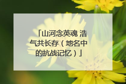 山河念英魂 浩气共长存（地名中的抗战记忆）