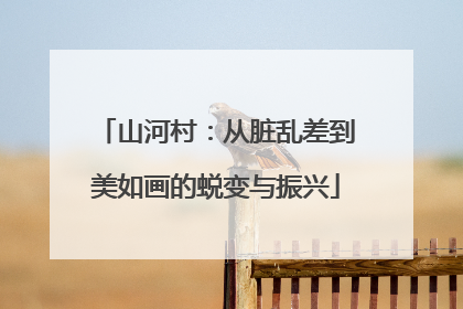 山河村：从脏乱差到美如画的蜕变与振兴