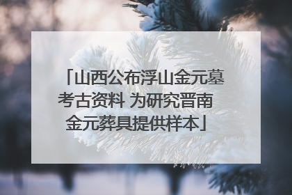 山西公布浮山金元墓考古资料 为研究晋南金元葬具提供样本