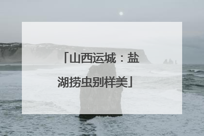 山西运城：盐湖捞虫别样美