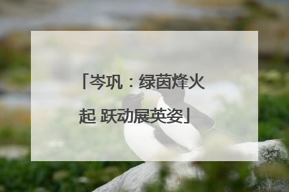 岑巩：绿茵烽火起 跃动展英姿
