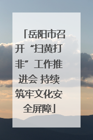 岳阳市召开“扫黄打非”工作推进会 持续筑牢文化安全屏障