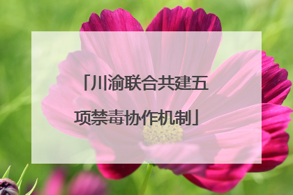 川渝联合共建五项禁毒协作机制