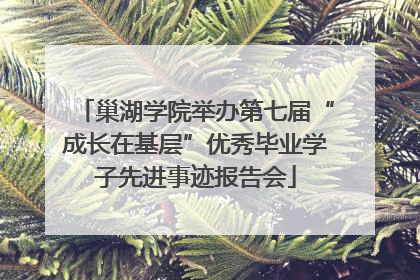 巢湖学院举办第七届“成长在基层”优秀毕业学子先进事迹报告会