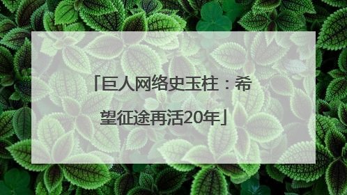 巨人网络史玉柱：希望征途再活20年