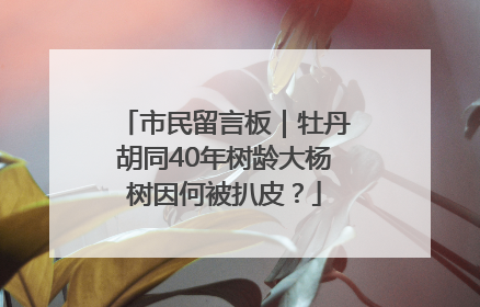 市民留言板｜牡丹胡同40年树龄大杨树因何被扒皮？