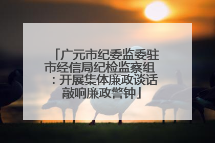广元市纪委监委驻市经信局纪检监察组：开展集体廉政谈话 敲响廉政警钟