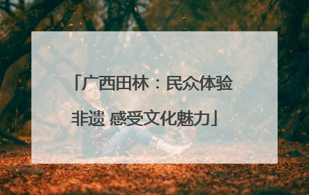 广西田林：民众体验非遗 感受文化魅力