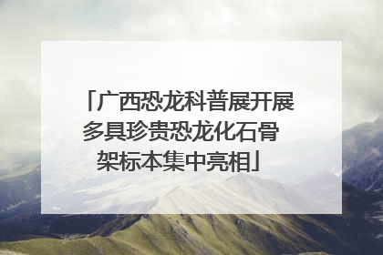 广西恐龙科普展开展 多具珍贵恐龙化石骨架标本集中亮相