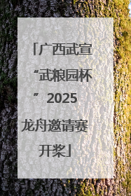广西武宣“武粮园杯”2025龙舟邀请赛开桨