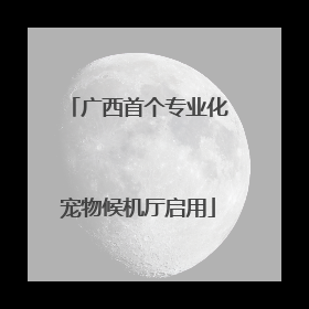 广西首个专业化宠物候机厅启用