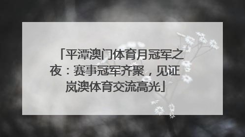 平潭澳门体育月冠军之夜：赛事冠军齐聚，见证岚澳体育交流高光