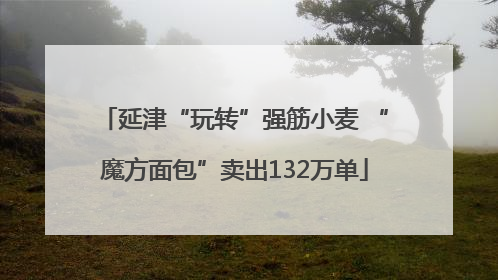 延津“玩转”强筋小麦 “魔方面包”卖出132万单