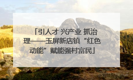 引人才 兴产业 抓治理——玉屏新店镇“红色动能”赋能强村富民