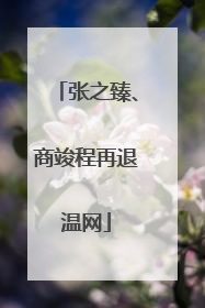 张之臻、商竣程再退温网
