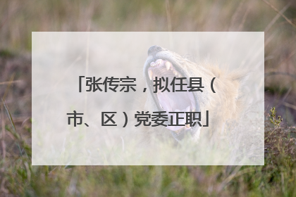 张传宗，拟任县（市、区）党委正职