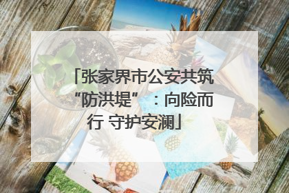 张家界市公安共筑“防洪堤”：向险而行 守护安澜