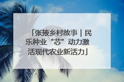 张掖乡村故事｜民乐种业“芯”动力激活现代农业新活力