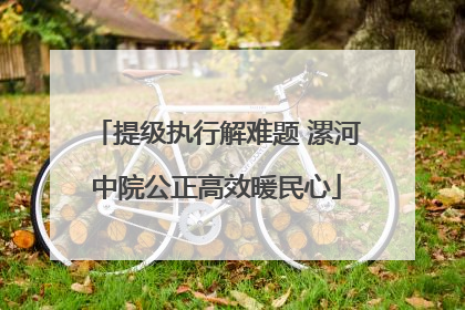 提级执行解难题 漯河中院公正高效暖民心
