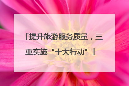 提升旅游服务质量，三亚实施“十大行动”