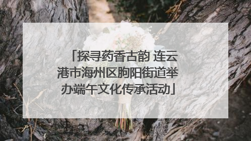 探寻药香古韵 连云港市海州区朐阳街道举办端午文化传承活动