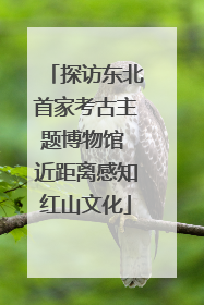 探访东北首家考古主题博物馆 近距离感知红山文化