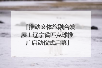推动文体旅融合发展！辽宁省匹克球推广启动仪式启幕