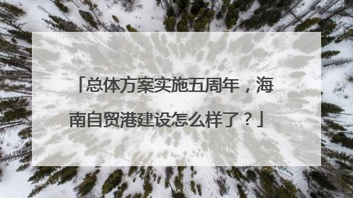 总体方案实施五周年，海南自贸港建设怎么样了？