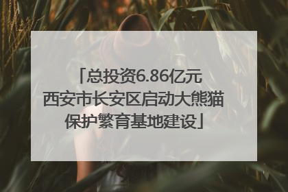 总投资6.86亿元 西安市长安区启动大熊猫保护繁育基地建设