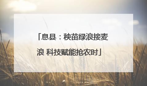 息县：秧苗绿浪接麦浪 科技赋能抢农时