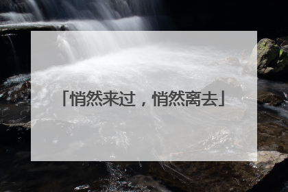 悄然来过，悄然离去