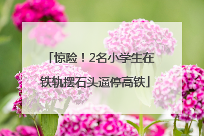 惊险！2名小学生在铁轨摆石头逼停高铁