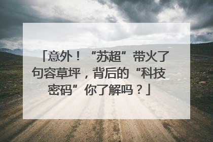 意外！“苏超”带火了句容草坪，背后的“科技密码”你了解吗？