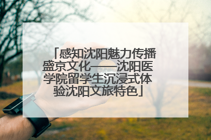 感知沈阳魅力传播盛京文化——沈阳医学院留学生沉浸式体验沈阳文旅特色