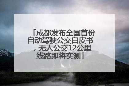 成都发布全国首份自动驾驶公交白皮书，无人公交12公里线路即将实测