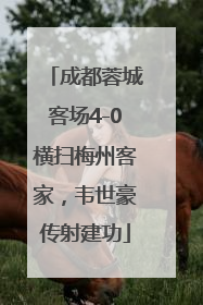 成都蓉城客场4-0横扫梅州客家，韦世豪传射建功