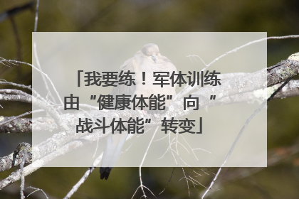 我要练！军体训练由“健康体能”向“战斗体能”转变
