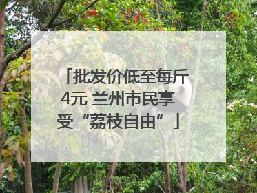 批发价低至每斤4元 兰州市民享受“荔枝自由”