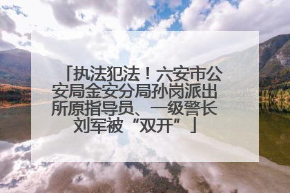 执法犯法！六安市公安局金安分局孙岗派出所原指导员、一级警长刘军被“双开”