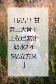 抗旱！甘肃三大骨干工程已累计调水2.45亿立方米